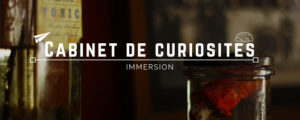 Image de Tutoriel : le cabinet de curiosités