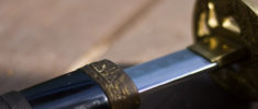 Image de Shogun