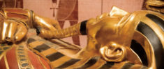 Image de Les reliques maudites