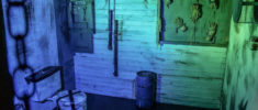 Image de The Cellar