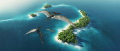 Image de Gen Dynamic Project