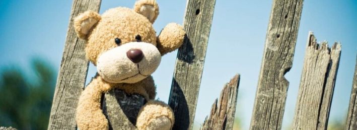 Ours en peluche qui gravit une palissade